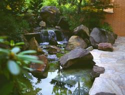 Medieval melody Chant Laudate Introitus.